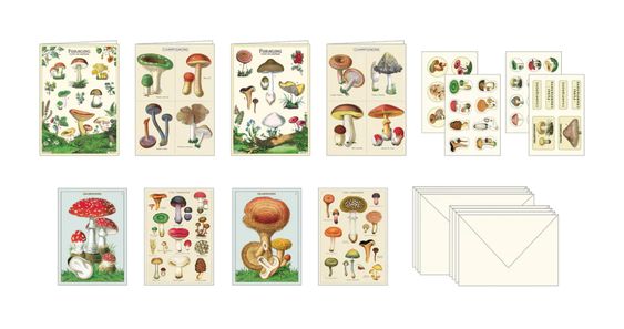 Hank & Sylvie's - Mushrooms Stationery Set - Cavallini & Co.
