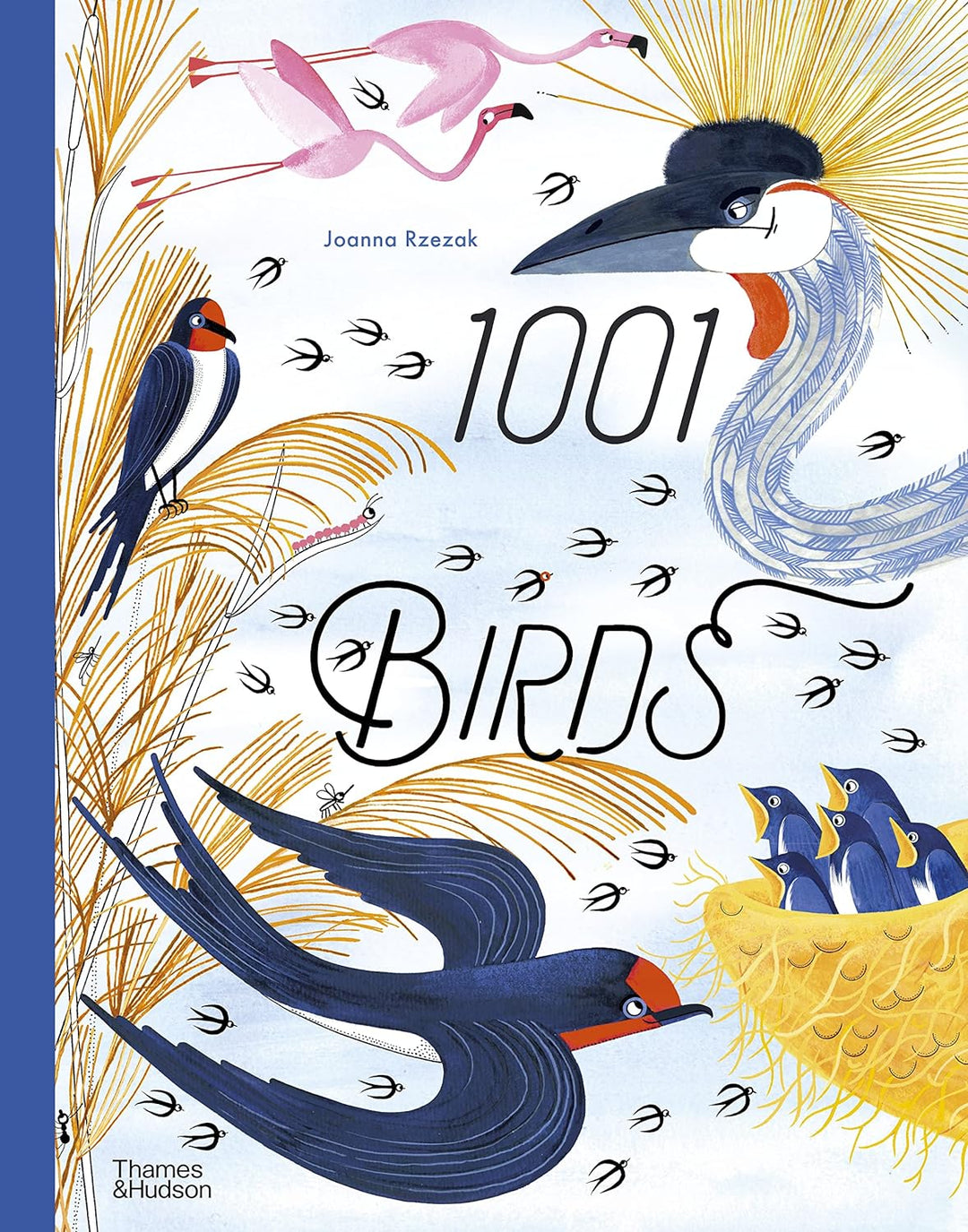 Hank & Sylvie's - 1001 Birds - by Joanna Rzezak - childrens book