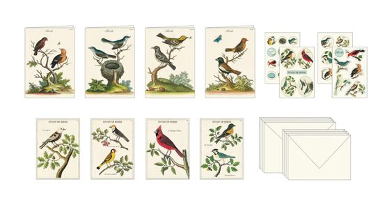Hank & Sylvie's - Study of Birds Stationery Set - Cavllini & Co.