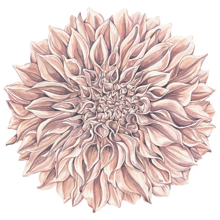 Die-cut Dahlia Paper Placemat