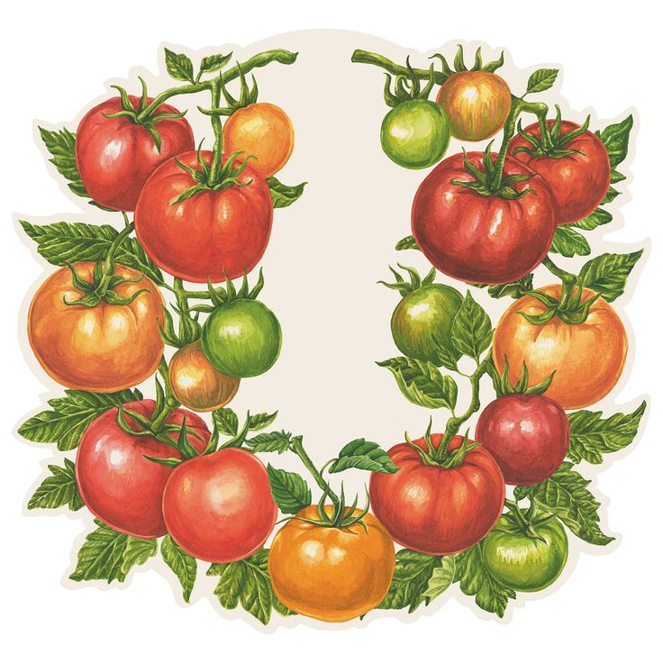 Die-Cut Tomato Placemat