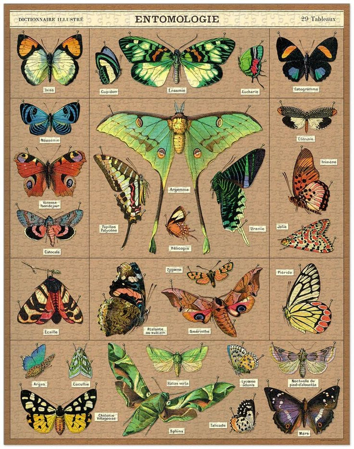 Entomology Vintage 1000pc Puzzle