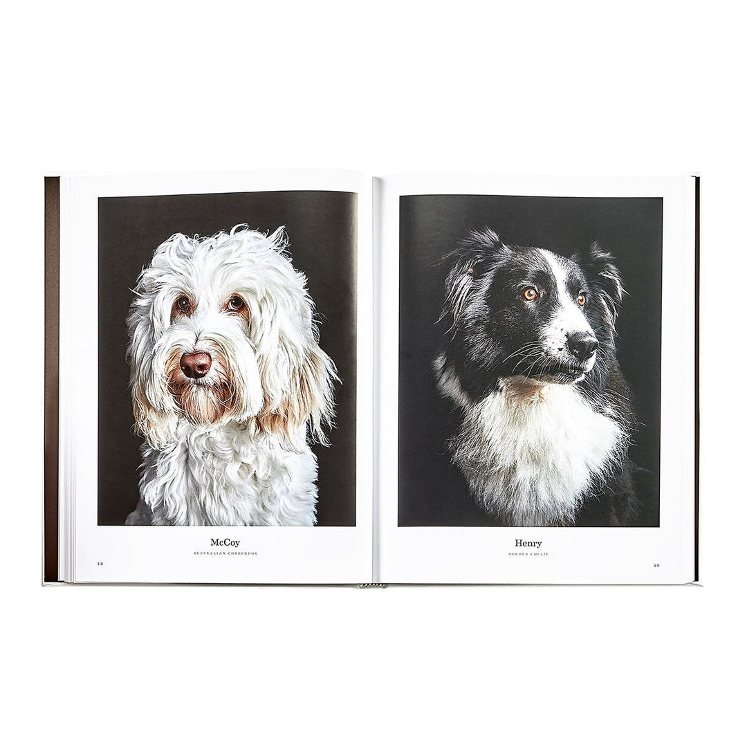 Open book showing portraits of two dogs, McCay and Henry, on a white background.