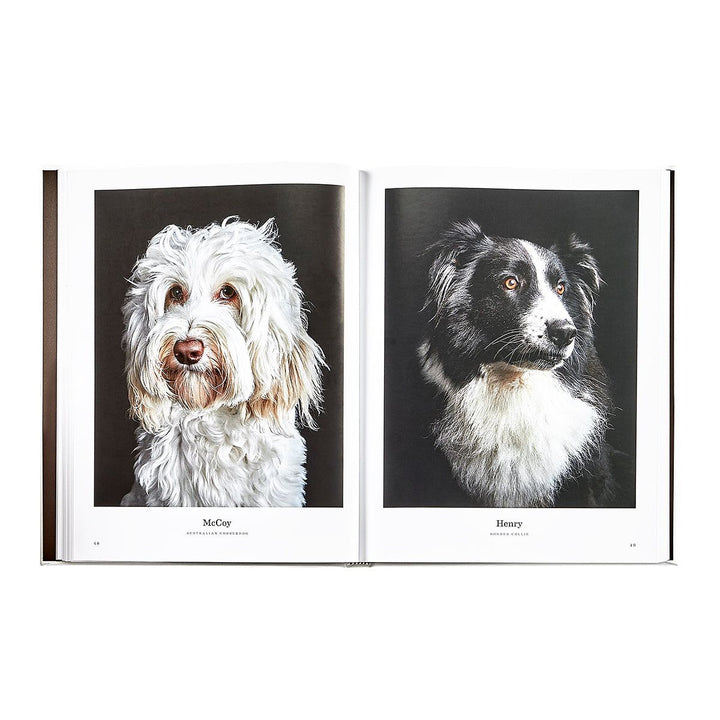 Open book showing portraits of two dogs, McCay and Henry, on a white background.
