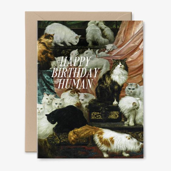 Happy Birthday Human Greeting Card