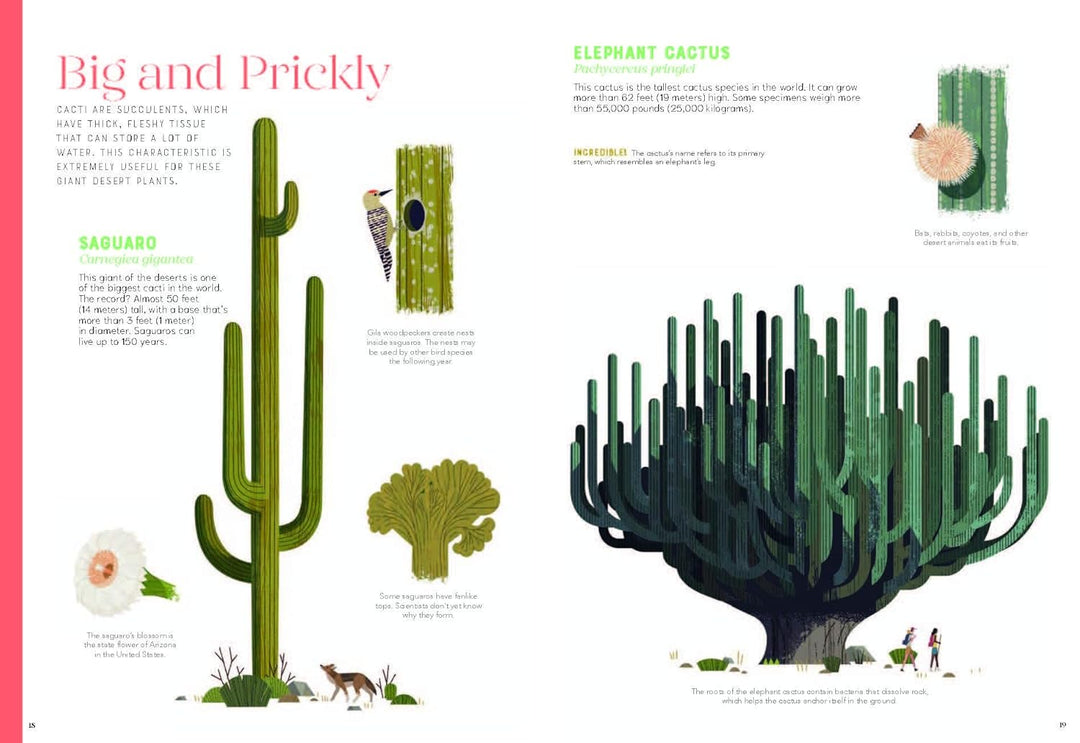 Incredible: Stars of the Plant World