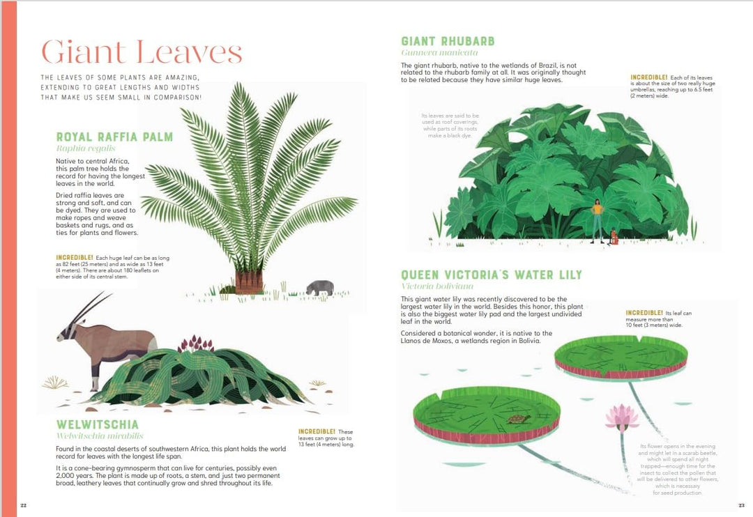Incredible: Stars of the Plant World