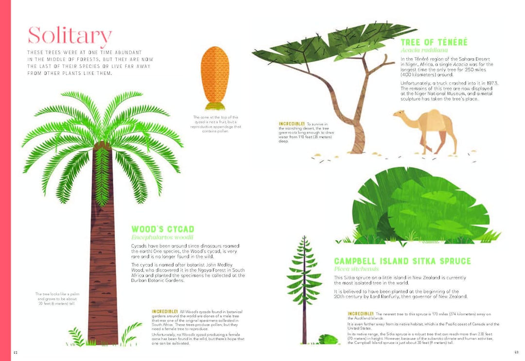 Incredible: Stars of the Plant World