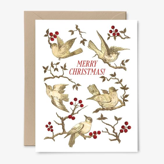 Merry Christmas Birds Greeting Card
