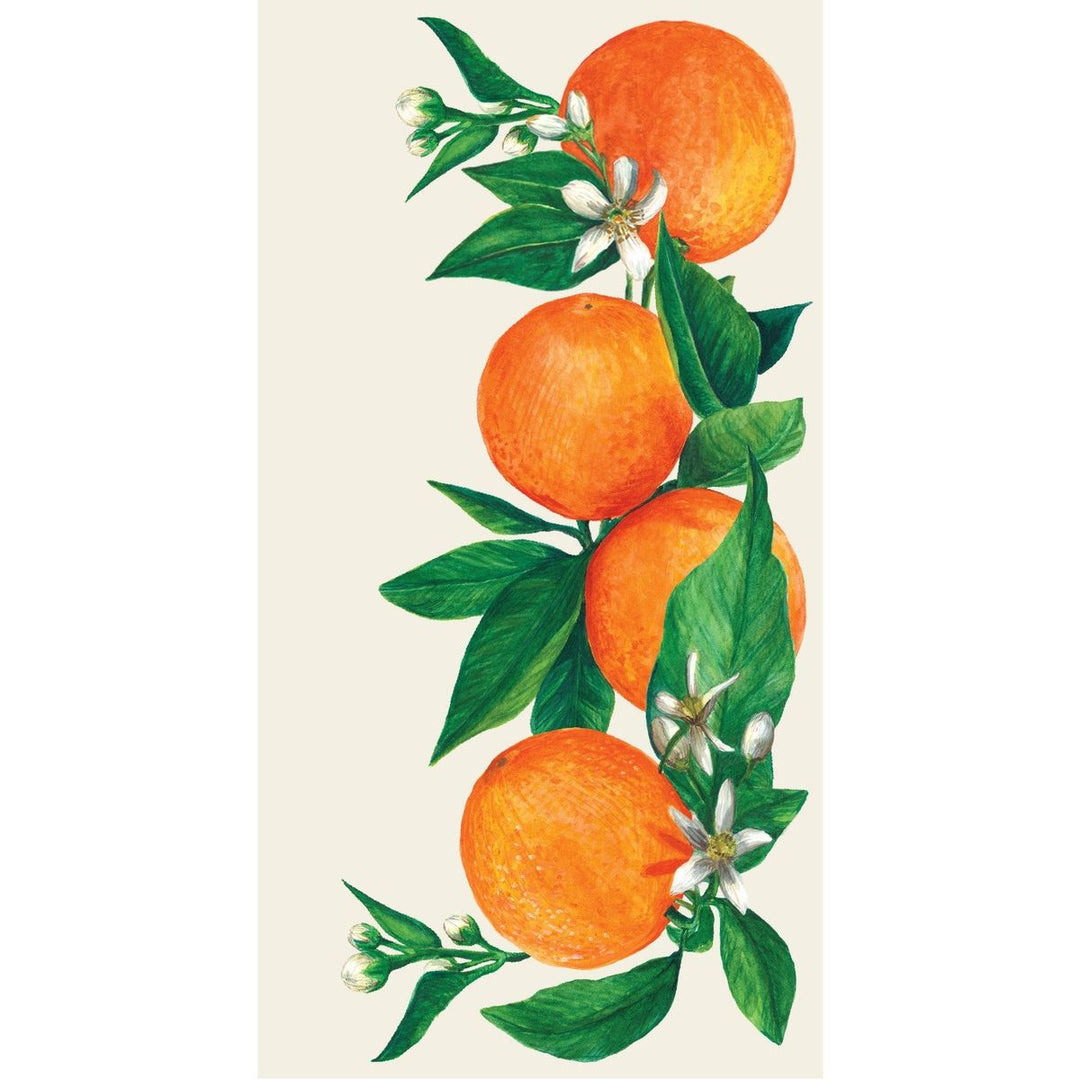 Illustration of oranges on a branch with leaves on a white background