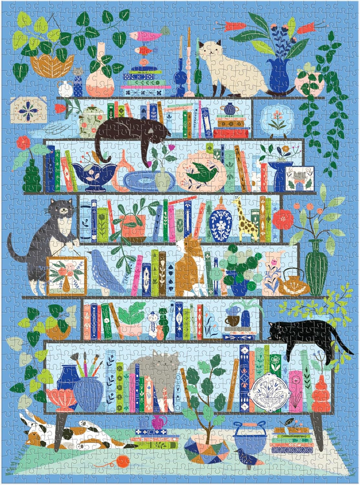 Colorful illustration of a bookshelf with books, cats, and decorative items on a blue background