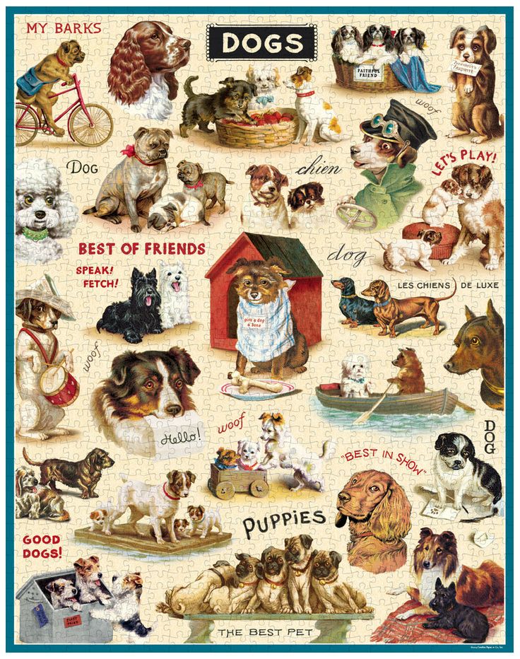 Vintage Dogs Vintage 1000pc Puzzle