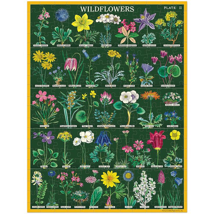 Wildflowers 240pc Mini Puzzle