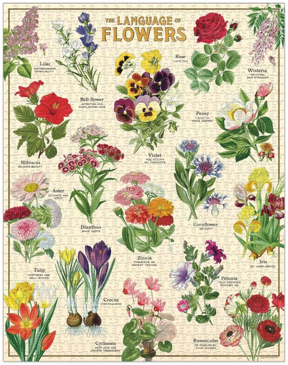 Language of Flowers Vintage 1000pc Puzzle - Cavallini & Co.