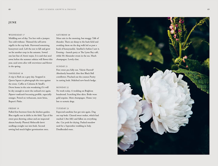 Grow and Gather: A Gardener’s Guide to a Year of Cut Flowers - by Grace Alexander