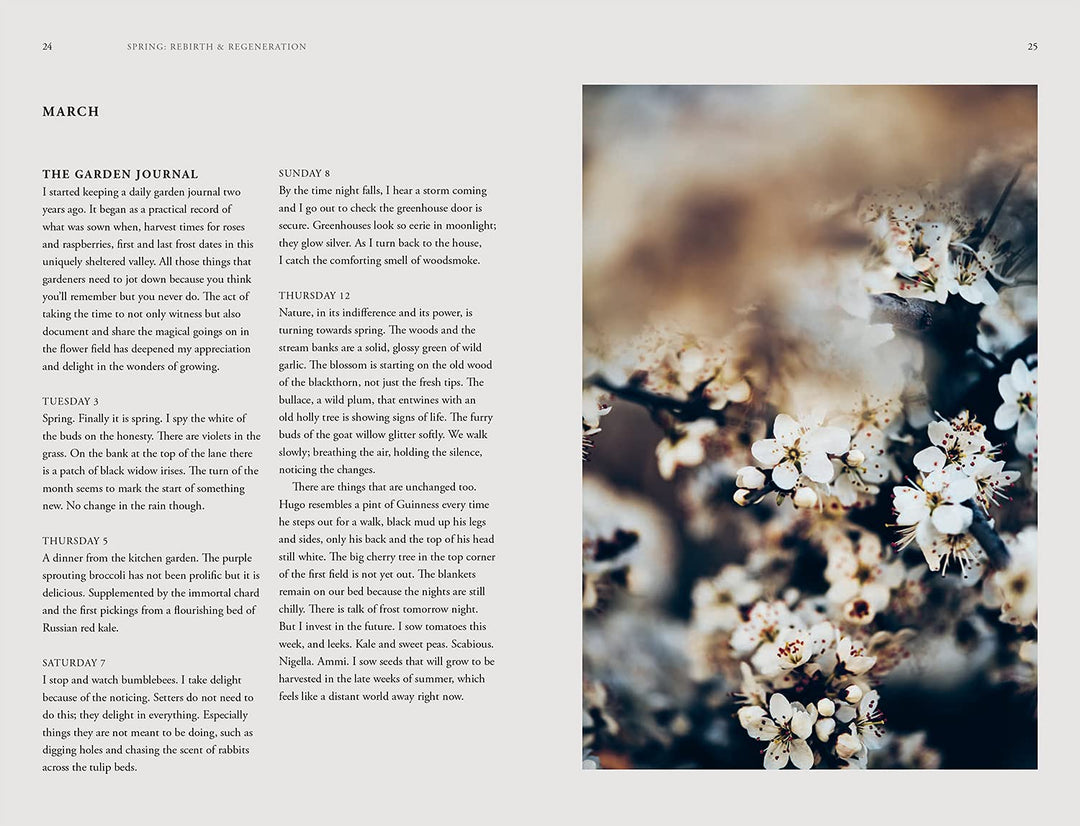 Grow and Gather: A Gardener’s Guide to a Year of Cut Flowers - by Grace Alexander