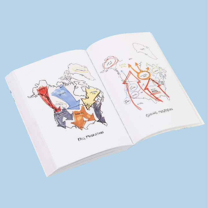 The Field Guide to Dumb Birds of North America - by Matt Kracht