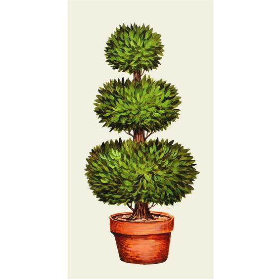 Topiary Guest Napkin - Hester & Cook