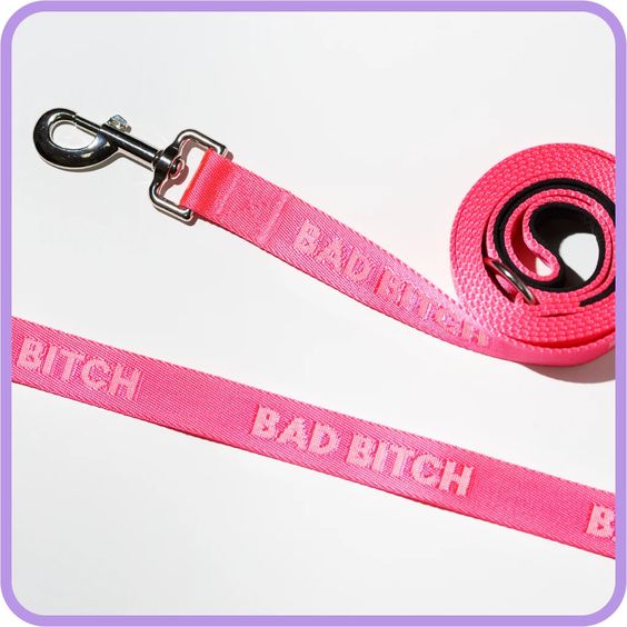 Bad Bitch Dog Leash - Hank & Sylvie's 