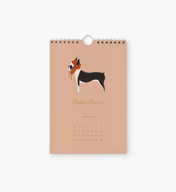A spiral-bound wall calendar page featuring an illustration of a Boston Terrier dog wearing a red bow tie, with the text 'Boston Terrier' and a January calendar grid below, shown on a light gray background.