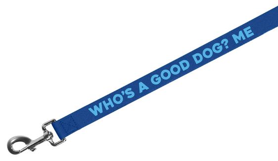 Good Dog Dog Leash - Hank & Sylvie's 