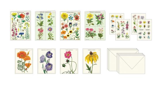 Hank & Sylvie's - Wildflowers Stationery Set - Cavallini & Co.