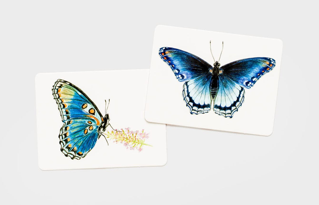 Hank & Sylvie's - Butterfly Wings: A Matching Game