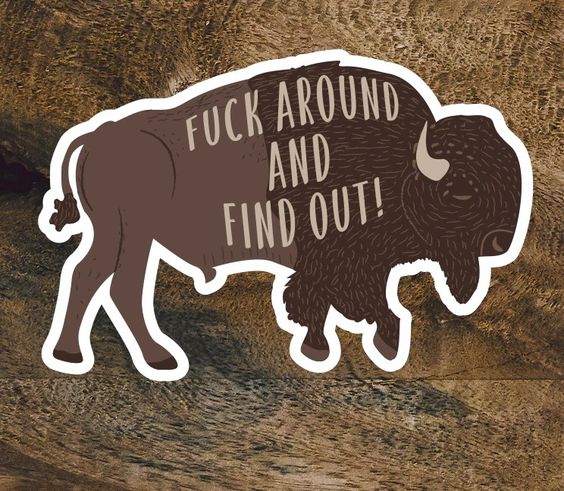 Hank & Sylvie's - Fuck Around and Find Out Buffalo Vinyl Sticker