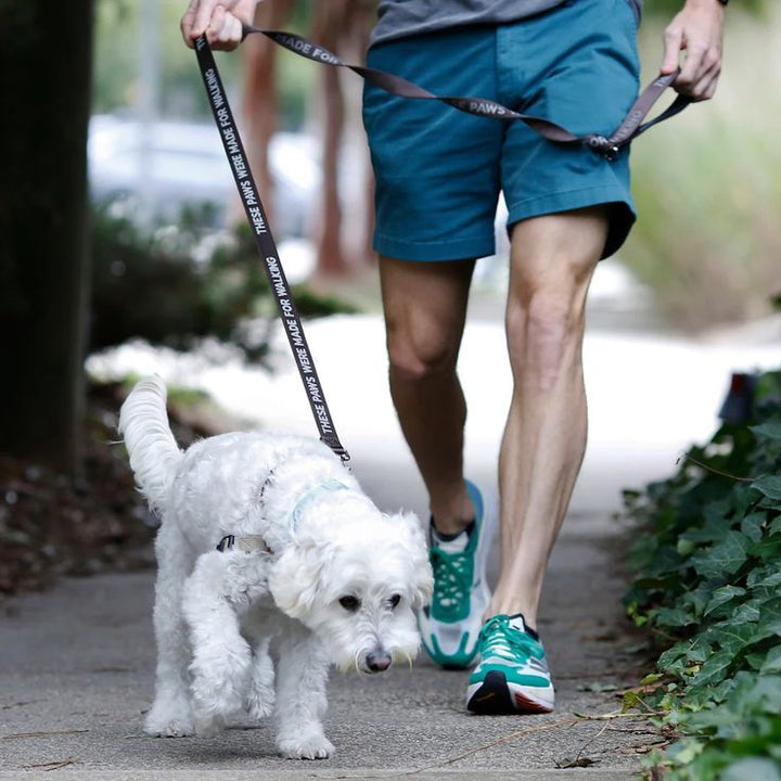 These Paws Dog Leash - Hank & Sylvie's 