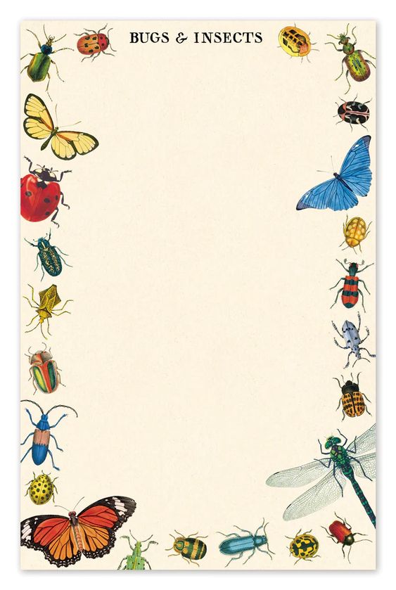 Hank & Sylvie's - Bugs & Insects Notepad - Cavallini & Co.