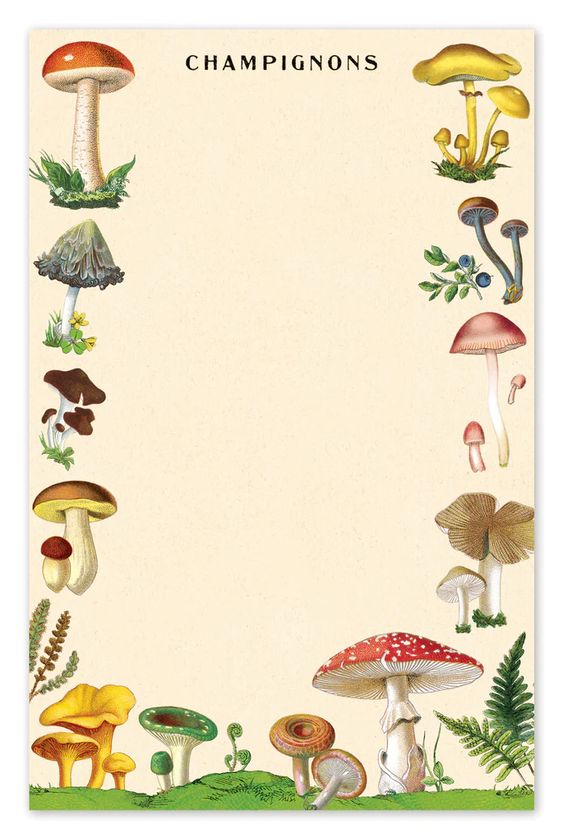Hank & Sylvie's - Mushrooms Notepad - Cavallini & Co