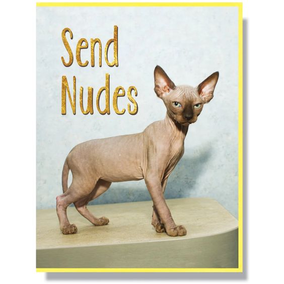 Hank & Sylvie's - Send Nudes Greeting Card - Smitten Kitten