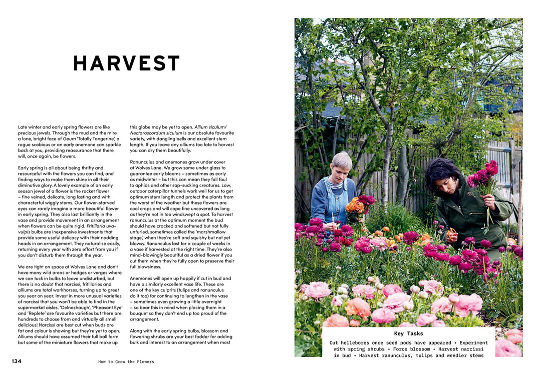 How to Grow the Flowers by Camila Romain & Marianne Mogendorff 