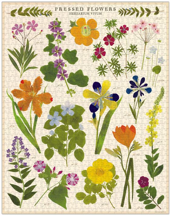 Pressed Flowers Vintage 1000 Piece Puzzle - Cavallini & Co.