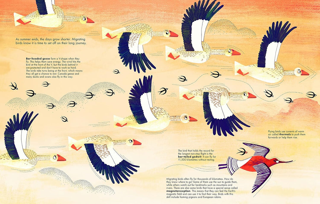 1001 Birds - by Joanna Rzezak