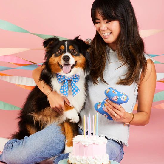 Make A Wish Birthday Dog Bone Squeaky Toy - The Foggy Dog