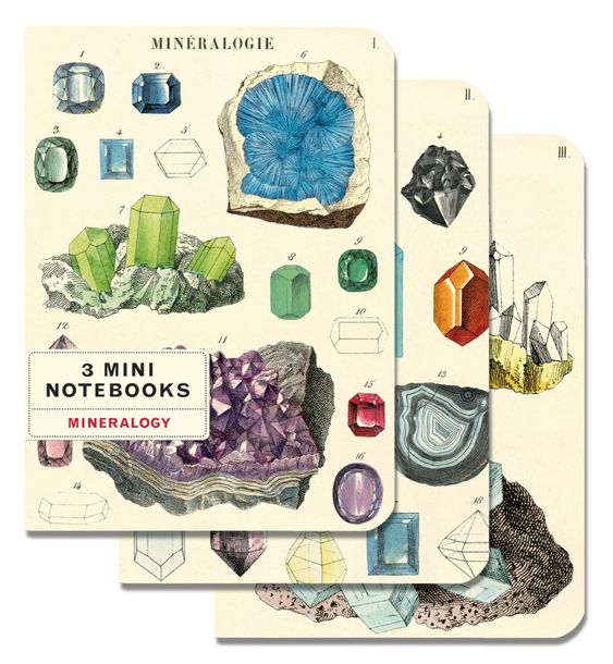 3 Mini Notebooks: Mineralogy - Cavallini & Co.