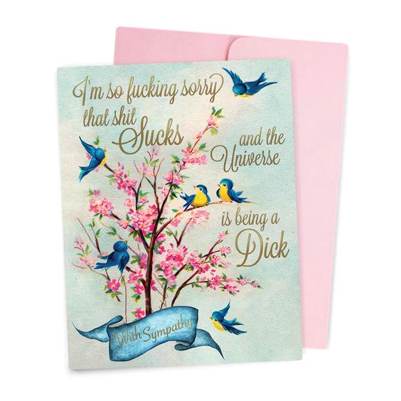 I'm Sorry The Universe Is Being A Dick Sympathy Card