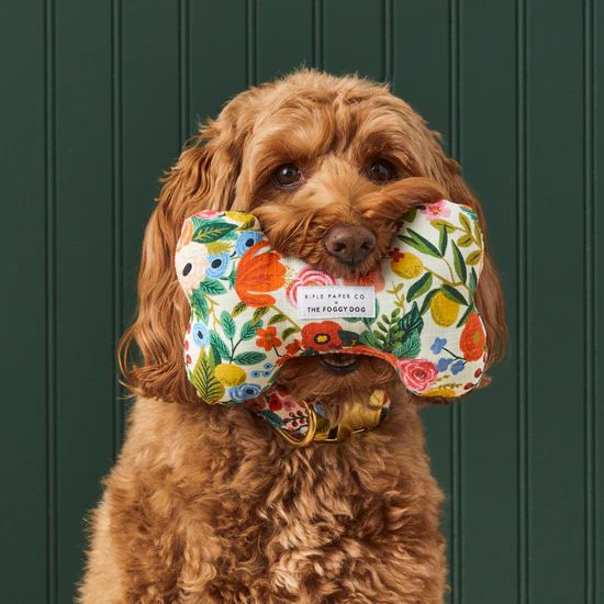 Hank & Sylvie's Rifle Paper Co x TFD Garden Party Dog Bone Squeaky Toy