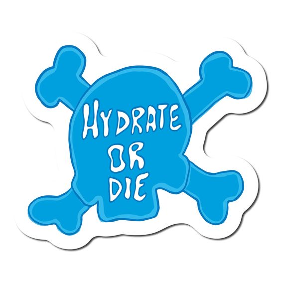 Mini Hydrate or Die Vinyl Sticker - Hank & Sylvie's 