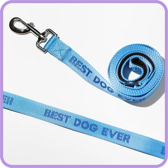 Best Dog Ever Dog Leash - Hank & Sylvie's 