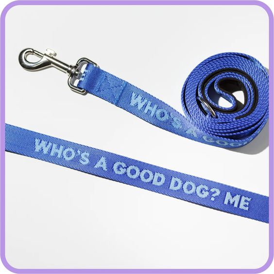 Good Dog Dog Leash - Hank & Sylvie's 