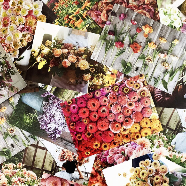 Floret Farm's Cut Flower Garden: 100 Postcards