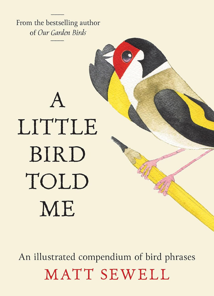 Book cover of 'A Little Bird Told Me' with a bird illustration and text.