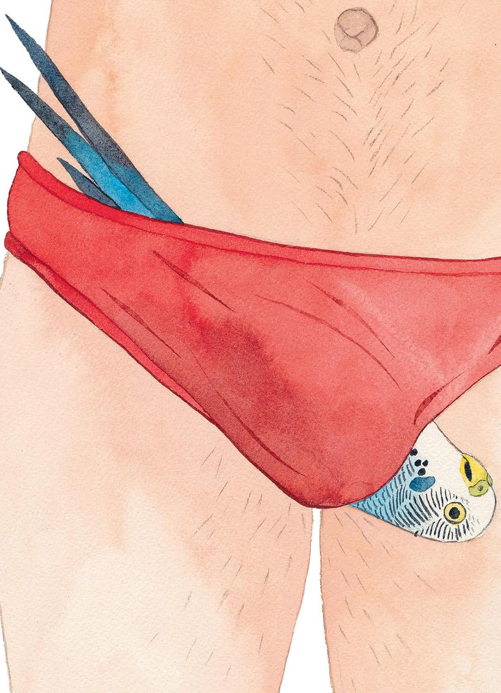 Watercolor-style illustration of a person's lower torso wearing red briefs, with blue feather-like accents and a small fish motif peeking out near the right side.