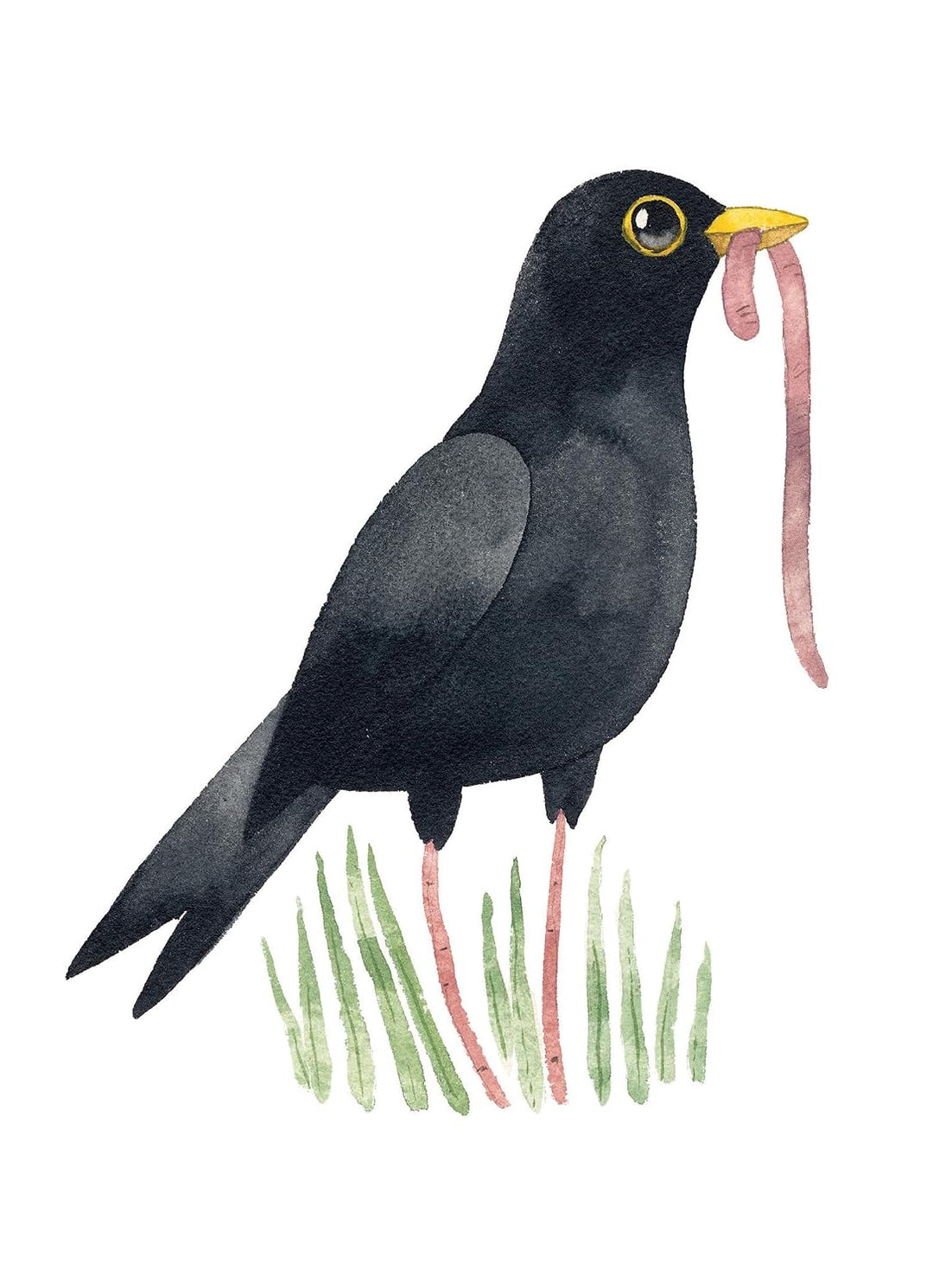 Watercolor illustration of a black bird with a yellow beak holding a pink worm, standing on green and pink grass against a white background.