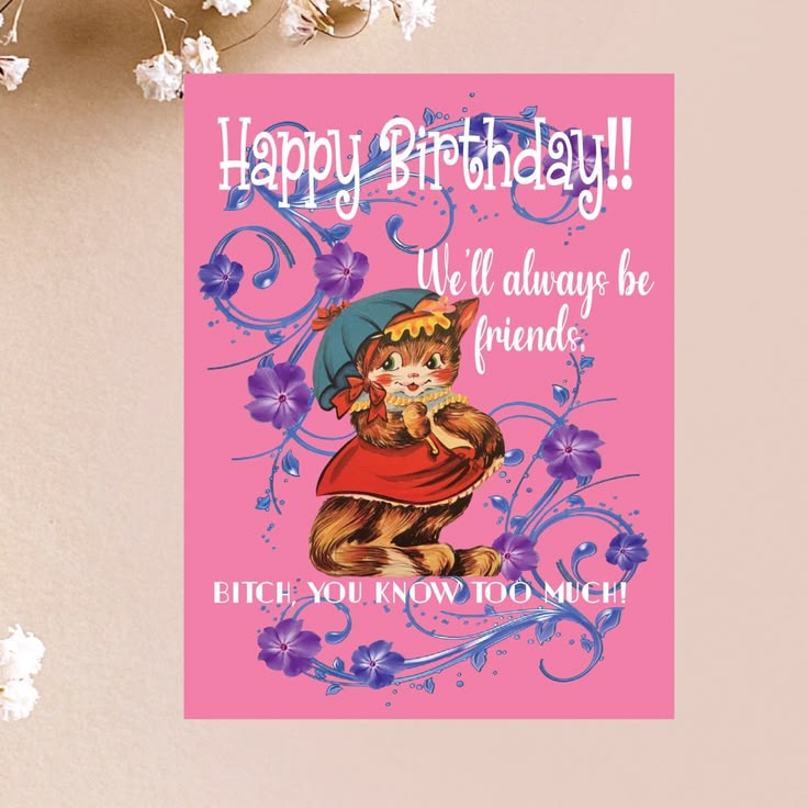 A pink birthday card featuring a retro-style illustration of a cat in a blue hat and red dress, surrounded by purple flowers and decorative swirls. The text reads 'Happy Birthday!!', 'We'll always be friends.