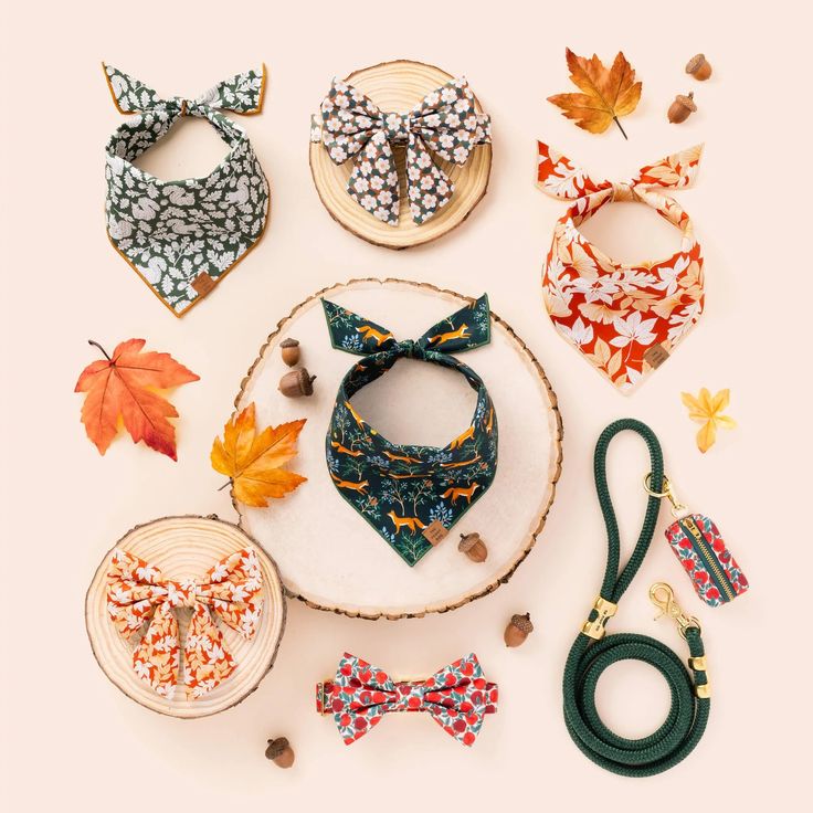 Apple of My Eye Fall Poop Bag Dispenser