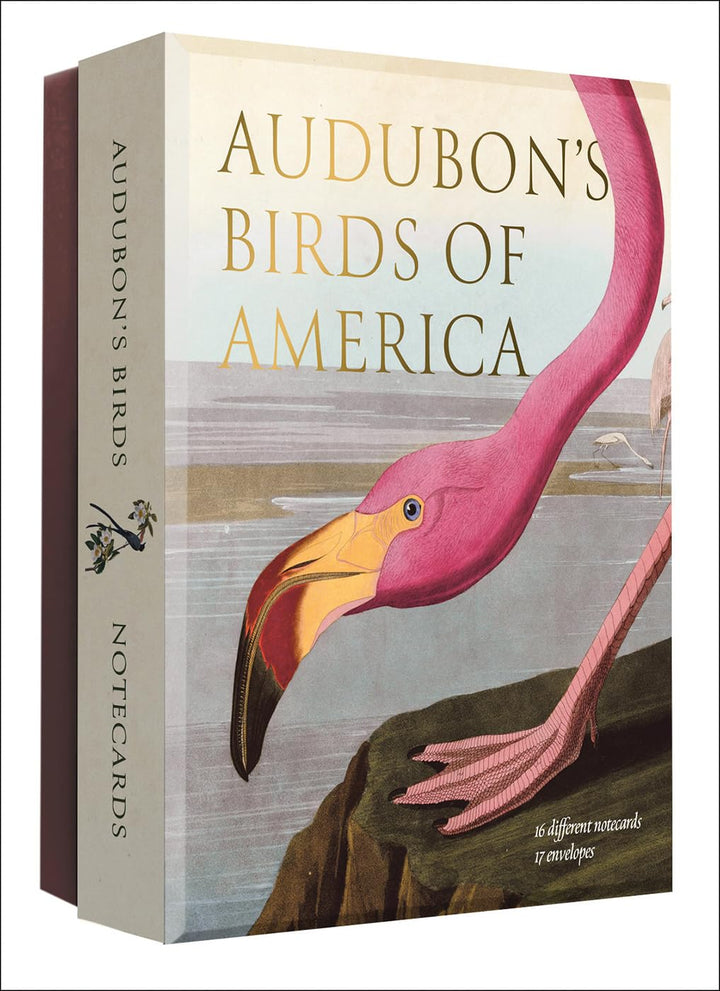 Notecard set with Audubon's Birds of America design featuring a flamingo.