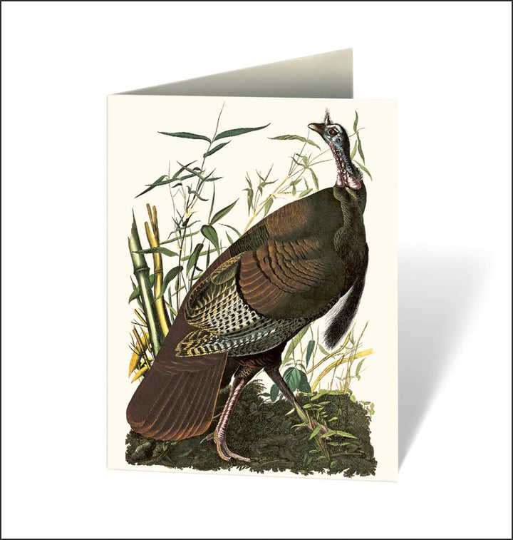 Greeting card with a turkey illustration on a white background